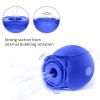 Discreet 10 Speed Personal Massage Vibrator sucking Massager for Women(Must Provide A Hazardous Materials Shipping Label For Self-pickup By USPS)