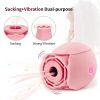 Discreet 10 Speed Personal Massage Vibrator sucking Massager for Women(Must Provide A Hazardous Materials Shipping Label For Self-pickup By USPS)